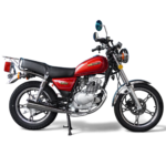 Moto de Combustión GN 125 MZ PRODUCTS - Imagen 2