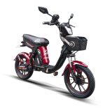 Bicimoto Grillo 1000W 35Ah